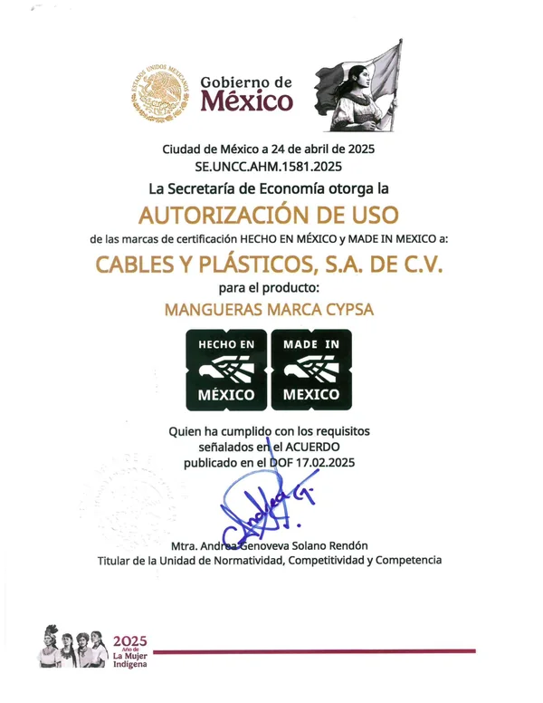 Primera página de Mangueras